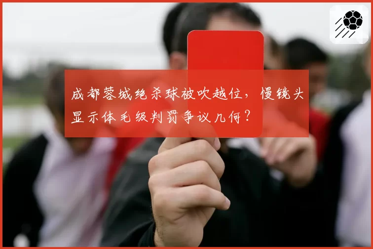 成都蓉城绝杀球被吹越位,慢镜头显示体毛级判罚争议几何?
